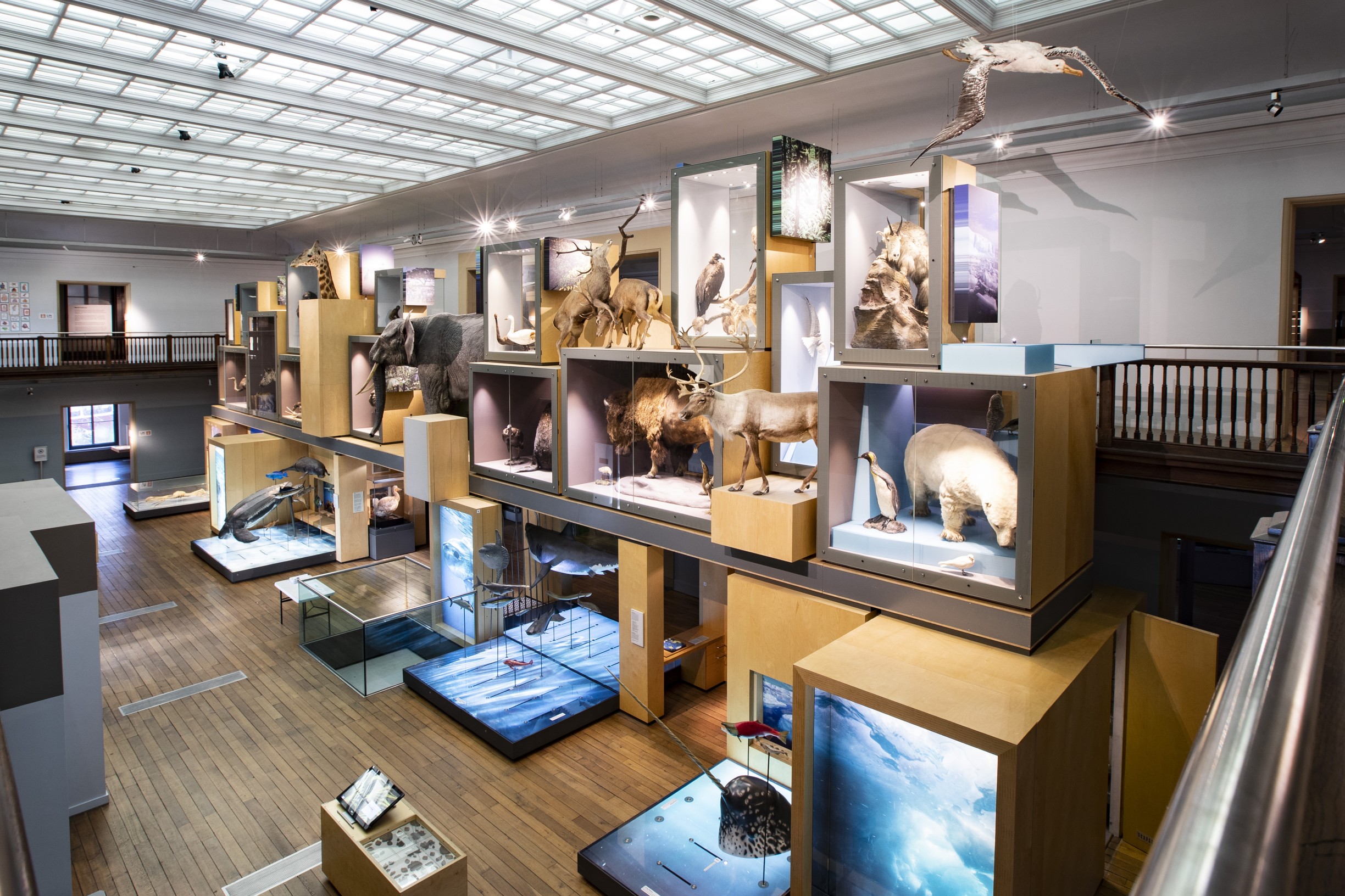 Behind the Door Of... Great North Museum Hancock Get into Newcastle